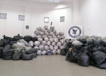 Sekuestrimi i 1.4 ton marijuanë në Greqi, arrestohet një tjetër shqiptar