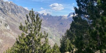 Parashikimi i motit, 17 Tetor 2024