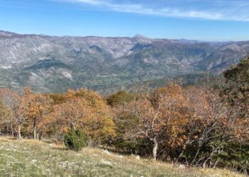 Parashikimi i motit, 27 Tetor 2024