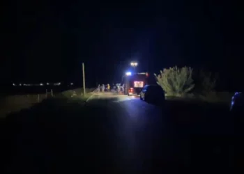 Aksident në Levan-Pishporo/ Makina merr para 36 kokë dhen