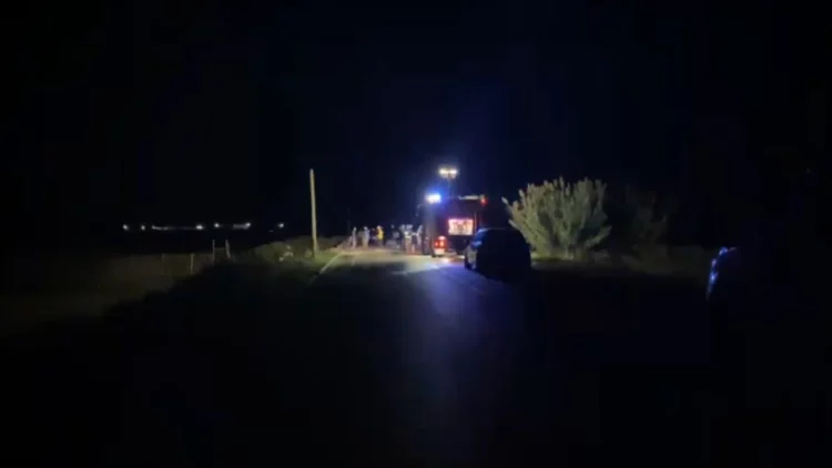 Aksident në Levan-Pishporo/ Makina merr para 36 kokë dhen