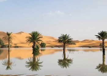 Ndodh për herë të parë në 50 vite: Përmbytet shkretëtira e Saharasë!