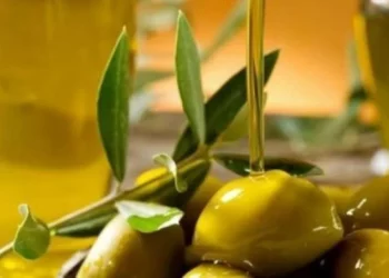 Çmimi i vajit të ullirit arrin rekord, shkon deri në 1,100 lekë për litër