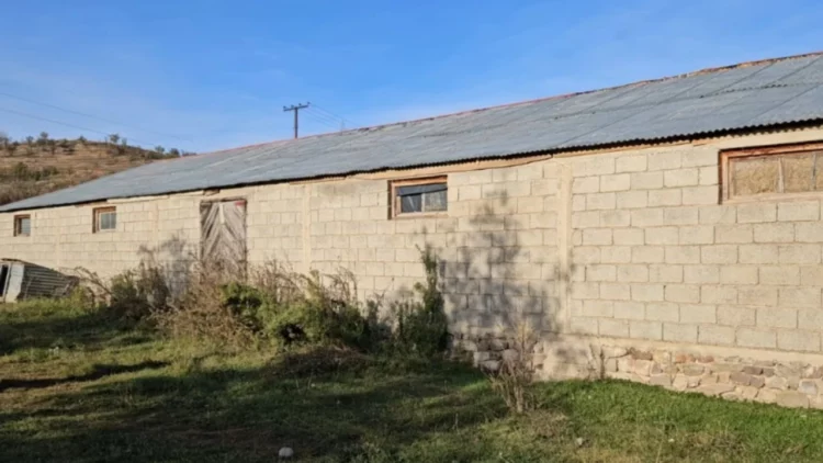 “Shtëpi bari” me  kanabis në Korçë, zbulohet kush ishte ‘koka’ e grupit (Emrat)