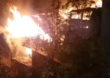 Përfshihet nga flakët një hangar në fshatin Dardhë të Korçës, dyshohet i qëllimshëm