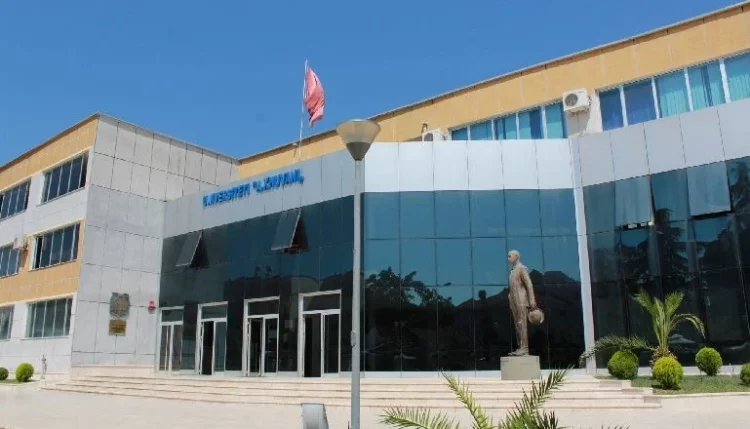 “Të kam sjellë një thes me patate”, zbardhen bisedat në telefon të pedagoges së arrestuar me studentët