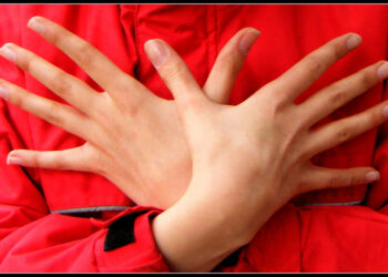 Jepet vendimi për dy zviceranët e arrestuar në Beograd se bënë shqiponjën dykrenare