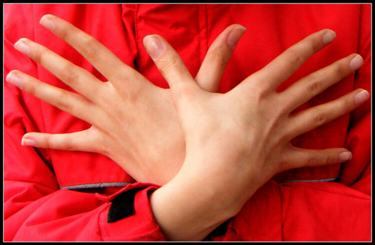 Jepet vendimi për dy zviceranët e arrestuar në Beograd se bënë shqiponjën dykrenare