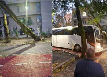 Çmendet moti në Tiranë, pema gjigante bie mbi autobus