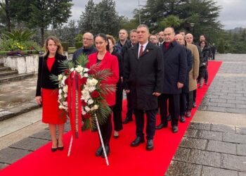Çlirimi/ PL nderime në varrezat e Dëshmorëve, Blushi: Garda tentoi të na pengonte – VIDEO