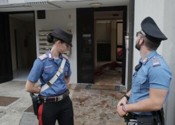 Vranë bashkatdhetarin me thikë, 36 vjet burg për dy vëllezërit shqiptarë