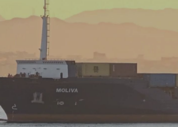 Mbetjet e rrezikshme vijnë në Durrës, institucionet injorojnë apelin për transparencë të Rrjetit të Bazelit – Dyshime për manipulim