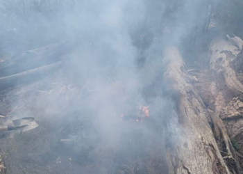 Shuhet zjarri në kufirin shqiptaro-grek në zonën e Leskovikut, u dogjën sipërfaqe me shkurre