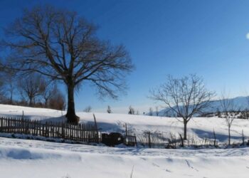 Bie dëbora e parë edhe në qarkun e Elbasanit, zbardhet ‘Parku i Shebenikut’