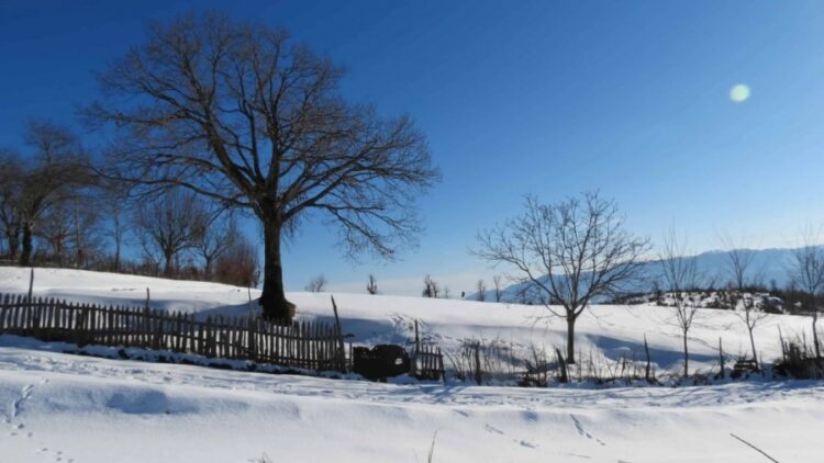 Bie dëbora e parë edhe në qarkun e Elbasanit, zbardhet ‘Parku i Shebenikut’