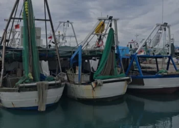Moti i keq prek edhe Durrësin, flota e peshkimit pezullon aktivitetin