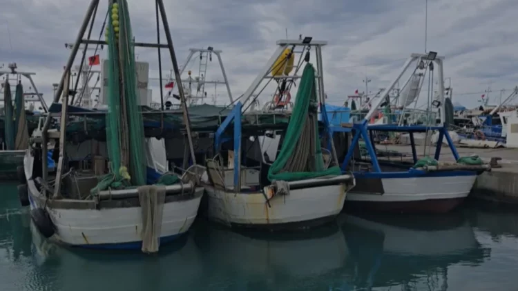 Moti i keq prek edhe Durrësin, flota e peshkimit pezullon aktivitetin