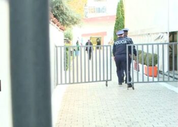 Vrasja e 14-vjeçarit, konflikti mes nxënësve nisi në shkollë, autori njoftoi shokët nga Sauku