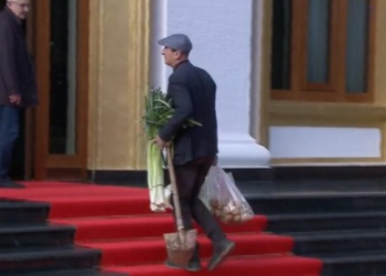 Me presh dhe lopatë në dorë në Kuvend, protesta e veçantë e deputetit Sula