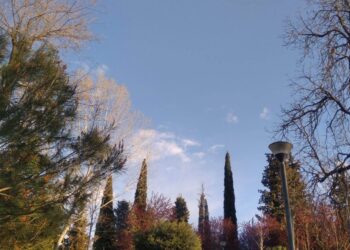 Parashikimi i motit, 17 Nëntor 2024