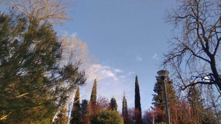 Parashikimi i motit, 17 Nëntor 2024