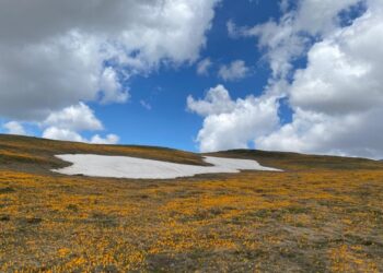 Parashikimi i motit, 18 Nëntor 2024