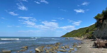 Parashikimi i motit, 3 Nëntor 2024