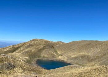 Parashikimi i motit, 8 Nëntor 2024