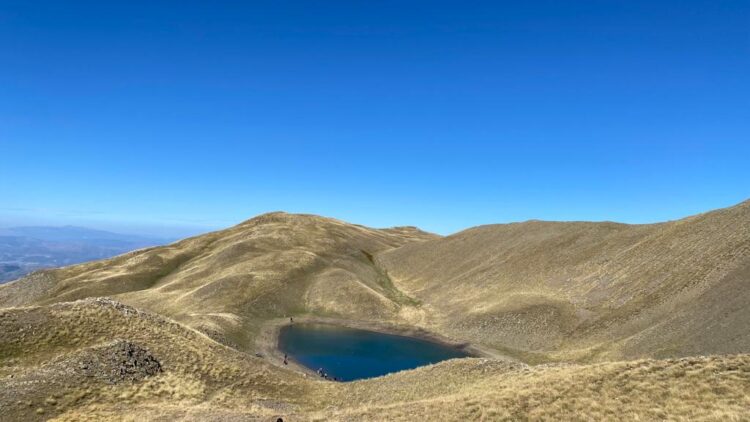 Parashikimi i motit, 8 Nëntor 2024