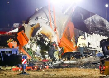 Avioni del nga pista, përplaset me murin dhe shpërthen në flakë, 179 të vdekur