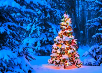 Kur duhet të vendoset pema e Krishtlindjes? Teologu: Ylli simbol satanist, pema pagane