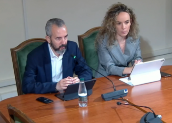 Celibashi: Më 11 janar, nis procesi i regjistrimit të votuesve nga jashtë