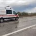 Tentoi të kalonte trafikndarësen, makina përplas për vdekje qytetarin në Lushnjë (Emri)