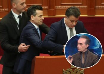 Përplasja fizike Noka-Shehaj, Baçi: Bëri mirë që kërkoi interpelance me Ballukun! Kjo është opozitë