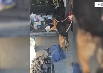 Me kokainë dhe alkool kontrabandë në furgon, arrestohet 32-vjeçari në kufi (Emri)