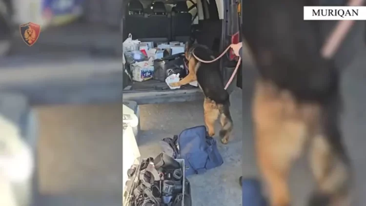 Me kokainë dhe alkool kontrabandë në furgon, arrestohet 32-vjeçari në kufi (Emri)