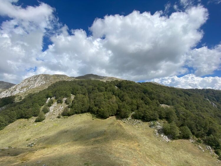 Parashikimi i motit, 11 Dhjetor 2024