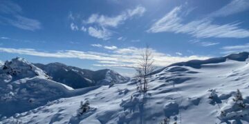 Parashikimi i motit, 25 Dhjetor 2024