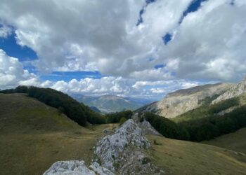 Parashikimi i motit, 15 Dhjetor 2024