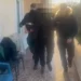 Shisnin kokainë në Sarandë dhe Delvinë, arrestohen 11 veta, sekuestrohen doza droge dhe para