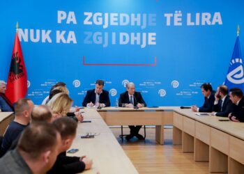 Berisha: Asgjë nuk do të ndikojë më shumë në fitoren e opozitës se vota e mijëra opozitarëve që kanë ikur jashtë