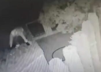 Bastisnin një krahinë në ditë/ Çmontohet banda e “skifterëve” shqiptarë në Spanjë