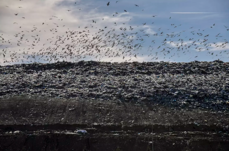 Inceneratori “fantazëm” dhe mali me mbetje në Landfillin e Sharrës