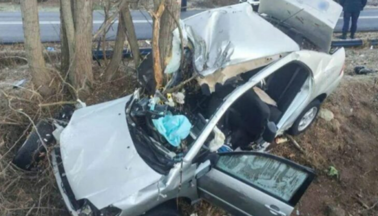 (EMRI) Aksident në Greqi, vdesin dy të rinj, plagoset rëndë shqiptari