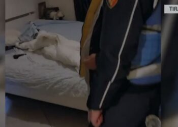 Tiranë/ I dënuar më parë në Gjermani për vrasje, kapet me armë në banesë një person