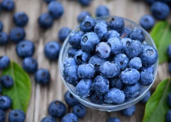 Boronicat, fruti që përmirëson shëndetin mendor dhe fizik