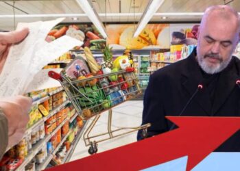 Sondazhi/ Kosto e rritur e jetesës, shqetësimi kryesor i shqiptarëve