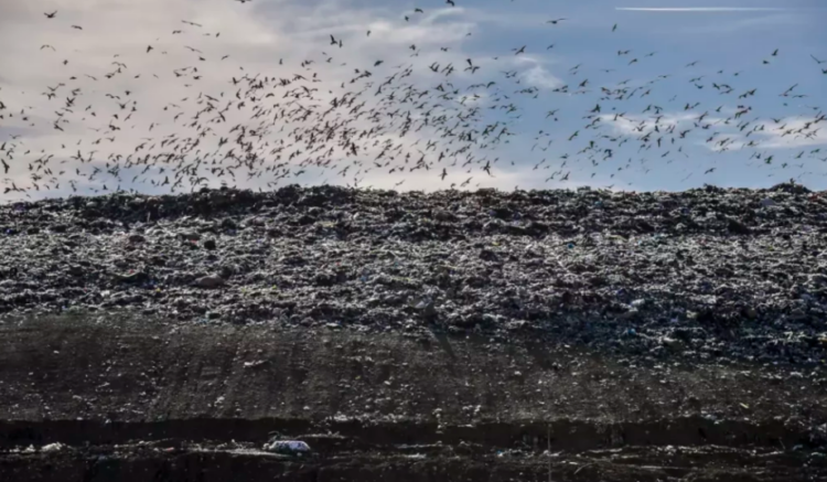 Prej 3 muajsh po operohet me mbivendosje, mal me mbetje tek inceneratori i Tiranës