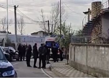 Zbardhen detaje nga vrasja në Kamëz! Shkak hasmëria, vëllai i viktimës ka vrarë…