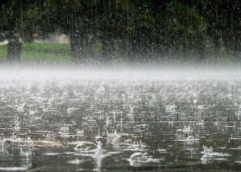 Reshje shiu dhe dëbore/ Parashikimi i motit për sot, 22 janar 2025